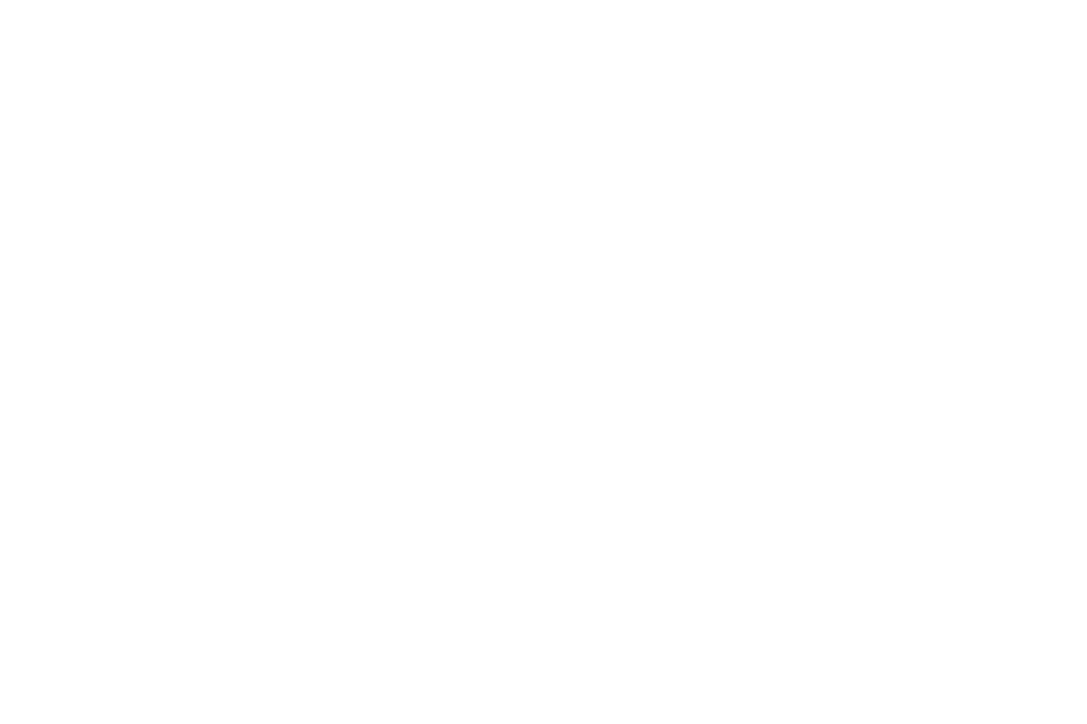 The Noodle Bar