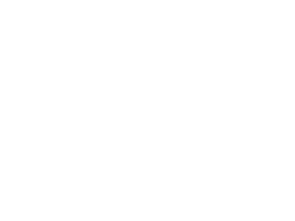 Mr Souvlaki